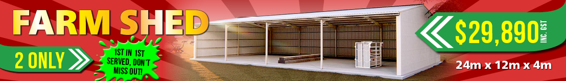 CS_2OnlyShedSale_Website4