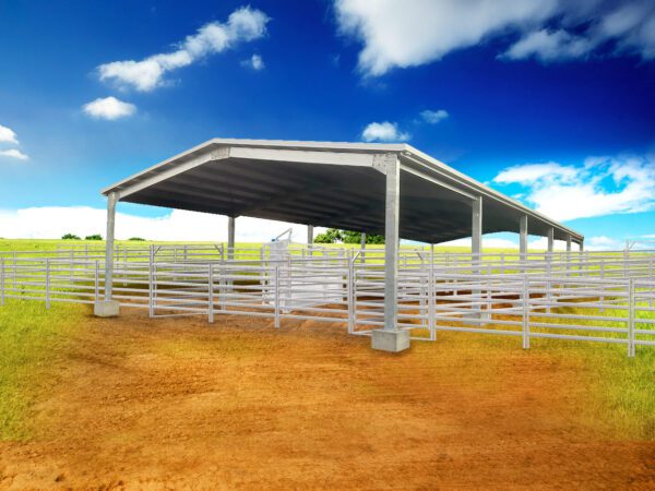 Crush-Shelter_wCattle-Yard-and-Crush_Web