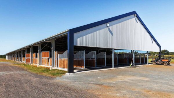 Delux-Horse-Arena-Web